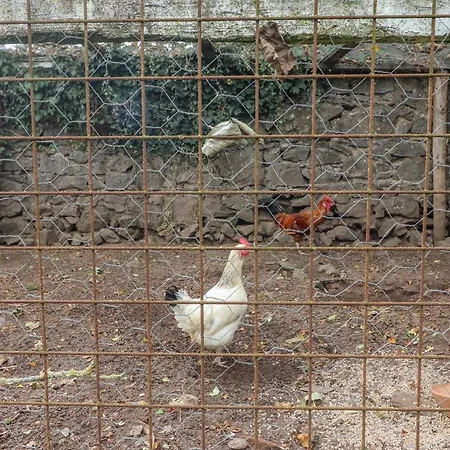 Lägenhet Ryan's Loft *