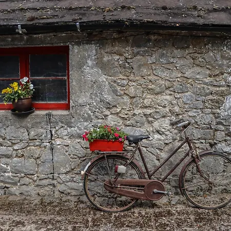 Ryan's Loft Appartement Ardfinnan