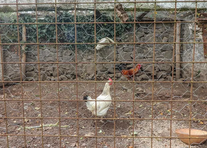 Lejlighed Ryan's Loft *