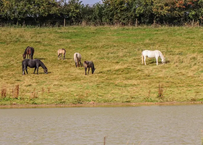 Апартаменты Ryan's Loft